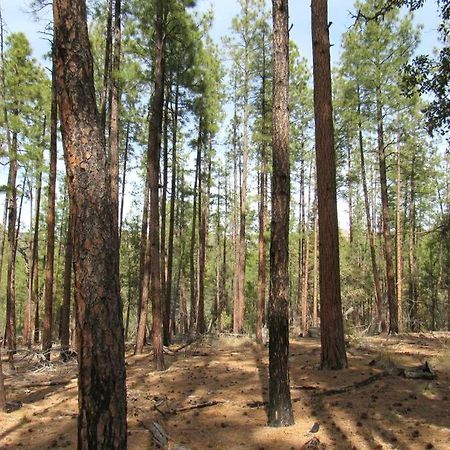 Forest Cabin 4 Cowboys Dream Payson Bagian luar foto