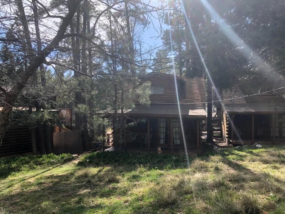 Forest Cabin 4 Cowboys Dream Payson Bagian luar foto