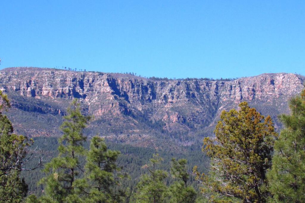 Forest Cabin 4 Cowboys Dream Payson Bagian luar foto